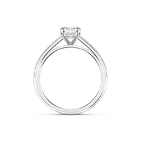 HORN0035 - White Gold - Product