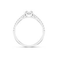 HORN0267 - White Gold - Product