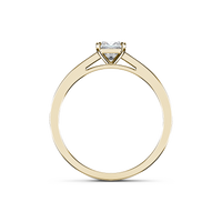 HORN0246 - Yellow Gold - Product