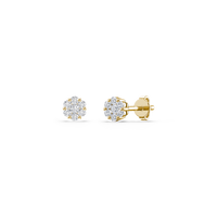 HOER0046 - Yellow Gold - Product