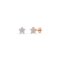 HOER0043 - Rose Gold - Product