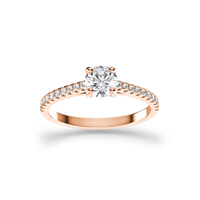 HORN0227 - Rose Gold - Product