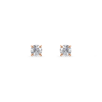 HOER0009 - Rose Gold - Product
