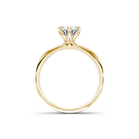 HORN0032 - Yellow Gold - Product