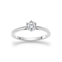HORN0134 - White Gold - Product