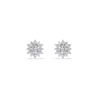 HOER0052 - White Gold - Product