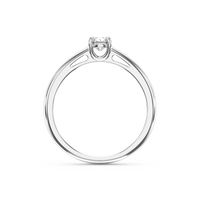 HORN0007 - White Gold - Product