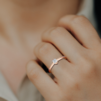 HORN0011 - Rose Gold - Model