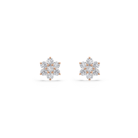 HOER0049 - Rose Gold - Product