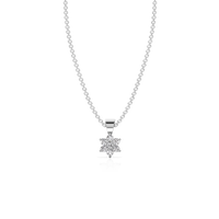 HOPN0037 - White Gold - Product