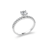HORN0037 - White Gold - Product