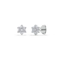 HOER0049 - White Gold - Product