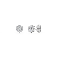HOER0045 - White Gold - Product
