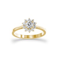 HORN0536 - Yellow Gold - Product