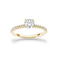 HORN0139 - Yellow Gold - Product