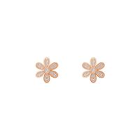 HOER0102 - Rose Gold - Product