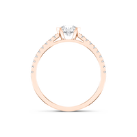 HORN0267 - Rose Gold - Product