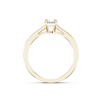 HORN0156 - Yellow Gold - Product