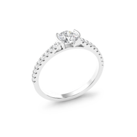 HORN0267 - White Gold - Product