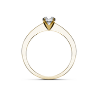 HORN0053 - Yellow Gold - Product