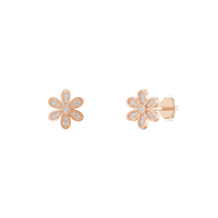 HOER0102 - Rose Gold - Product