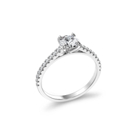HORN0227 - White Gold - Product