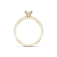 HORN0139 - Yellow Gold - Product