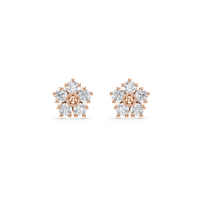 HOER0050 - Rose Gold - Product