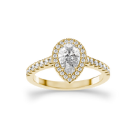 HORN0186 - Yellow Gold - Product