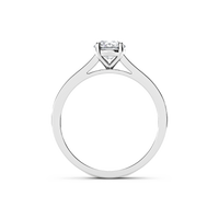HORN0044 - White Gold - Product