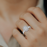 HORN0023 - White Gold - Model