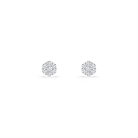HOER0046 - White Gold - Product