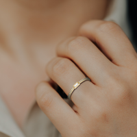 HORN0509 - Yellow Gold - Model