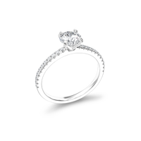 HORN0139 - White Gold - Product