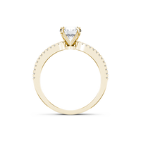 HORN0163 - Yellow Gold - Product