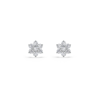 HOER0049 - White Gold - Product