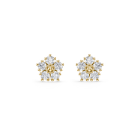 HOER0050 - Yellow Gold - Product