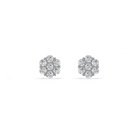 HOER0016 - White Gold - Product