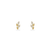 HOER0083 - Yellow Gold - Product