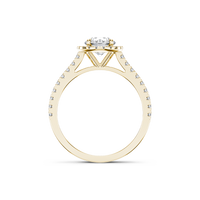 HORN0257 - Yellow Gold - Product