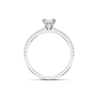 HORN0139 - White Gold - Product
