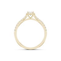 HORN0636 - Yellow Gold - Product