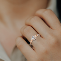 HORN0259 - Rose Gold - Model