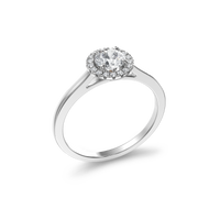 HORN0259 - White Gold - Product