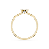 HORN0071 - Yellow Gold - Product