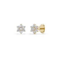 HOER0049 - Yellow Gold - Product