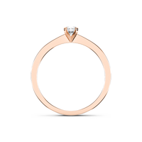 HORN0055 - Rose Gold - Product