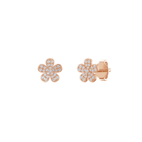 HOER0138 - Rose Gold - Product