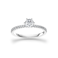 HORN0064 - White Gold - Product