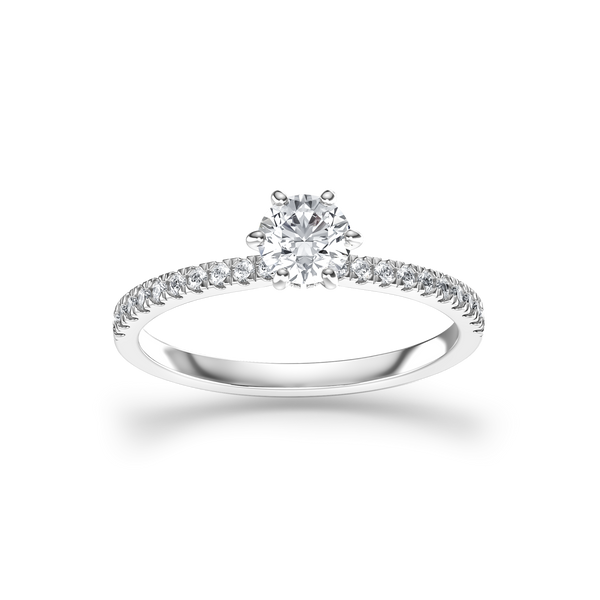 HORN0064 - White Gold - Product